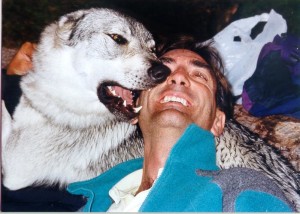 Copia di wolf33