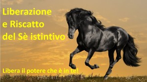 Testimonianza corsi IWAY
